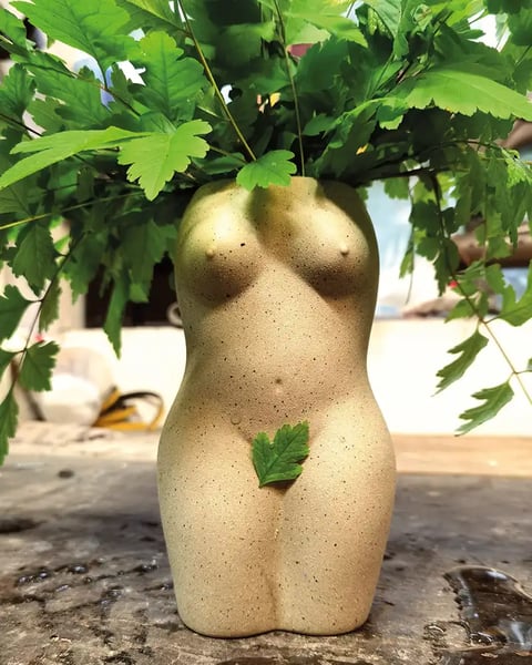 Avec Noues le Déluge, festival écoféministe