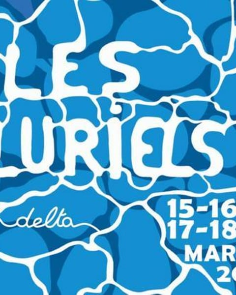 Festival Les Pluriels