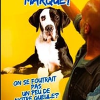 Thierry Marquet dans On se foutrait pas un peu de notre gueule ?