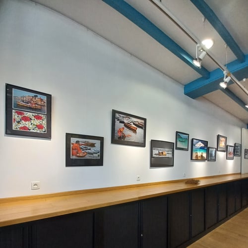 Exposition "Voyage au pays des tigres & dragons" Avril 2025