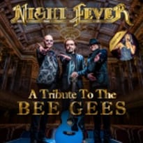 Night Fever