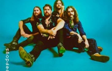 The Sheepdogs