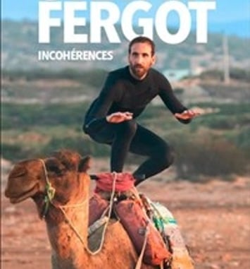 Sylvain Fergot dans Incohérences