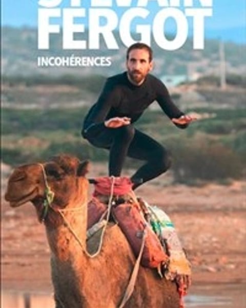 Sylvain Fergot dans Incohérences