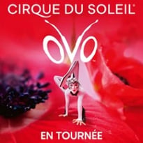 Cirque du Soleil: OVO