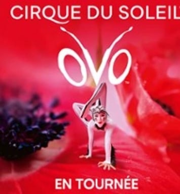Cirque du Soleil: OVO