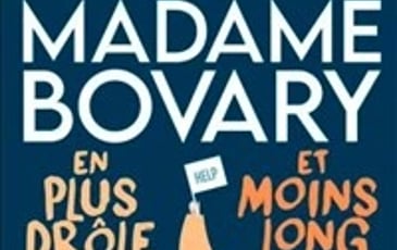Madame Bovary en plus drôle et moins long