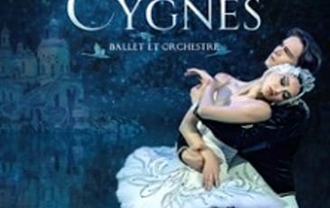 Le Lac des Cygnes, Ballet & Orchestre, Tournée 2026