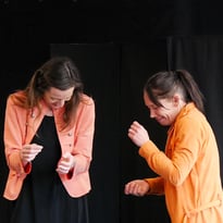 Les éphémères