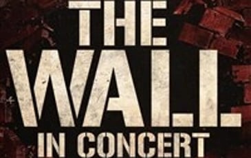 The wall