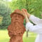 Le Jardin des Sculptures