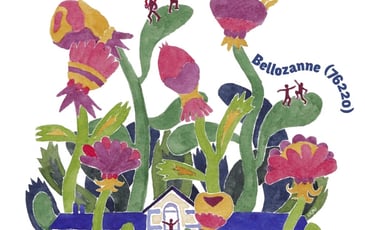 O'Maracuja, Matisse & Matéo, Flûte des Classes