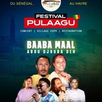 Festival Pulaagu