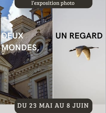 Deux Mondes, un Regard (exposition photo)