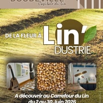 De la Fleur à Lin'Dustrie