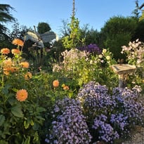 Jardin d'artiste - Visite de l'atelier