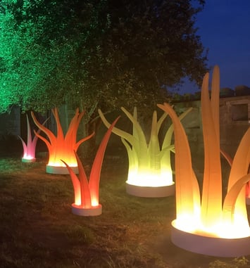 Lumières vibrantes