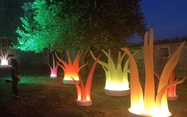 Lumières vibrantes