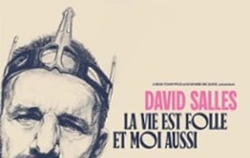 David Salles, La Vie est Folle et Moi Aussi