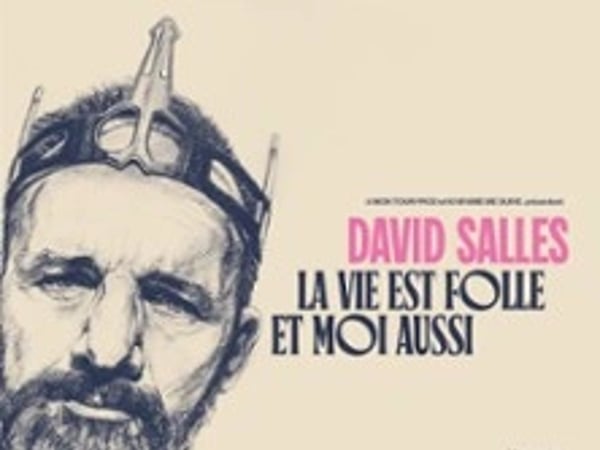 David Salles, La Vie est Folle et Moi Aussi