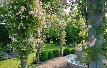 Visite libre du parc