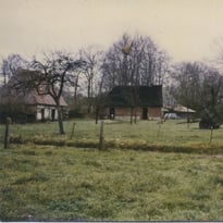 Rétrospective photo sur la création du jardin depuis 1990