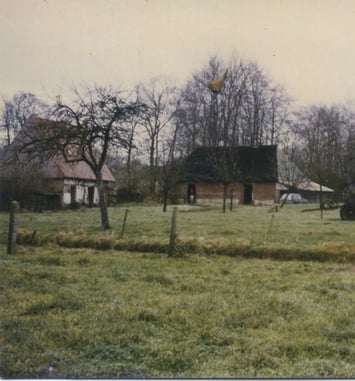 Rétrospective photo sur la création du jardin depuis 1990