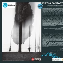 Exposition en plein air : Elegia Fantastica