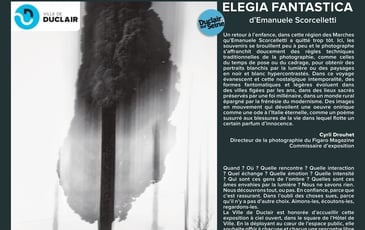 Exposition en plein air : Elegia Fantastica