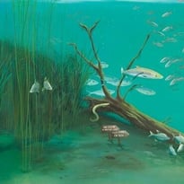 Exposition : Dans la Seine… Des poissons ?