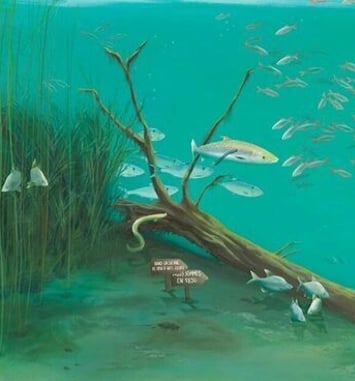 Exposition : Dans la Seine… Des poissons ?