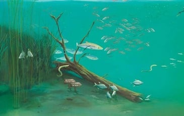 Exposition : Dans la Seine… Des poissons ?