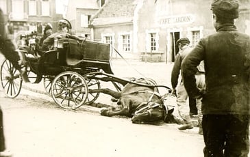 Exposition : scènes eudoises