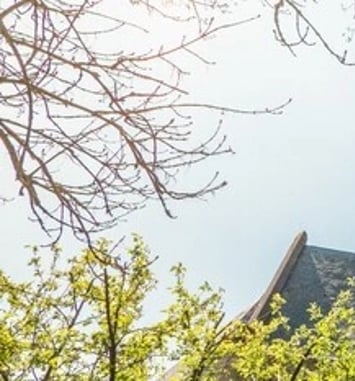 Visite libre de la collégiale