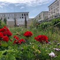 Visite libre : Genius, le jardin à étages