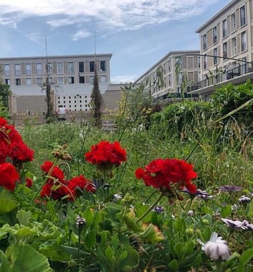 Visite libre : Genius, le jardin à étages