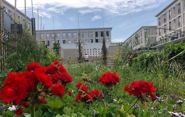 Visite libre : Genius, le jardin à étages