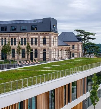 Visite guidée de l'école buissonnière