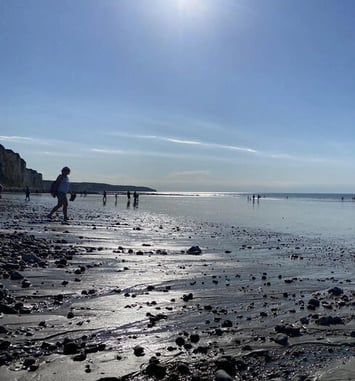Visite guidée : Dieppe depuis l'Estran, étranges perspectives et lignes de ville
