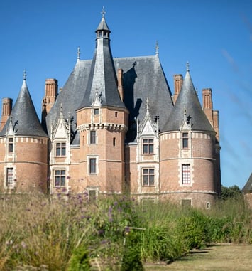 Visite guidée du rucher