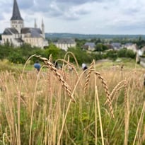Atelier : couronne des moissons
