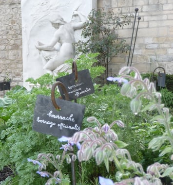 Atelier grainothèque de simples