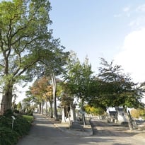 Visite guidée du cimetière