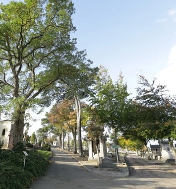 Visite guidée du cimetière