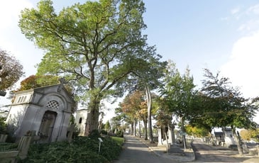 Visite guidée du cimetière