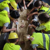 Animation jeune public : atelier "mandibules et compagnie : dans la peau d'un archéologue"