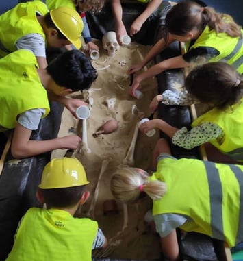 Animation jeune public : atelier "mandibules et compagnie : dans la peau d'un archéologue"