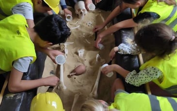 Animation jeune public : atelier "mandibules et compagnie : dans la peau d'un archéologue"