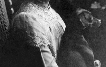 Visite guidée flash : Emma Louisa Turner, ornithologue pionnière