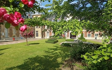 Visite guidée : l'hôpital Charles Nicolle d'hier à aujourd'hui